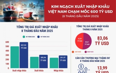 Xuất nhập khẩu 8 tháng bứt phá, tiến sát mốc 600 tỷ USD