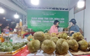 Hà Nội: Hơn 50 doanh nghiệp, hợp tác xã tham gia Tuần hàng trái cây, nông sản 2025