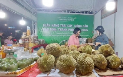 Hà Nội: Hơn 50 doanh nghiệp, hợp tác xã tham gia Tuần hàng trái cây, nông sản 2025