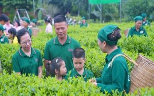 Các hợp tác xã nông nghiệp đẩy mạnh cải tiến quy trình sản xuất, nỗ lực nâng tầm nông sản Việt