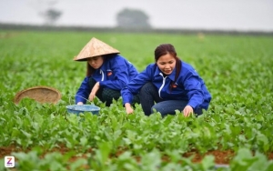 Chốt bơm 185.000 tỷ cho vay nông, lâm, thủy sản lãi suất thấp