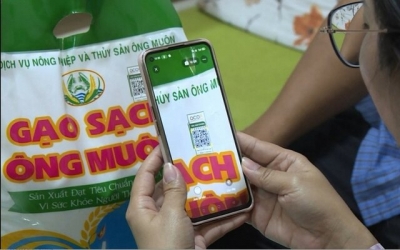 Từ năm 2026, 100% sàn thương mại điện tử và siêu thị bắt buộc hiển thị “Hộ chiếu số sản phẩm”