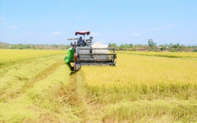 Từ một ‘ngôi sao HTX’ đến những mô hình giúp nông dân Gia Lai làm giàu, xây dựng nông thôn mới