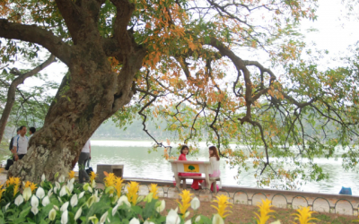 Nghĩ về thương hiệu “mùa Thu Hà Nội”