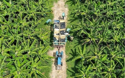 Tìm lối ra cho HTX từ vòng luẩn quẩn tích tụ ruộng đất