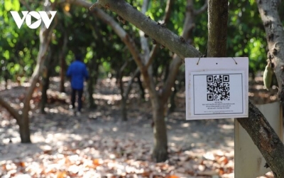 Nông dân Đồng Nai làm giàu từ chuyển đổi số lĩnh vực nông nghiệp