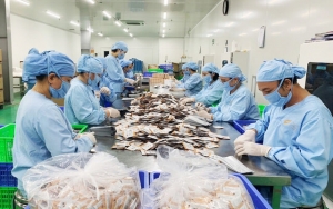 Tiêu dùng xanh gõ cửa, thương mại điện tử trước bài toán phát triển bền vững