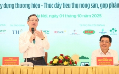 Nông sản Việt sẽ rẻ hơn, đi xa hơn nhờ chính sách mới về thương mại điện tử
