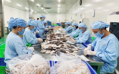 Tiêu dùng xanh gõ cửa, thương mại điện tử trước bài toán phát triển bền vững