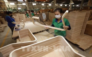 Dữ liệu số mở 