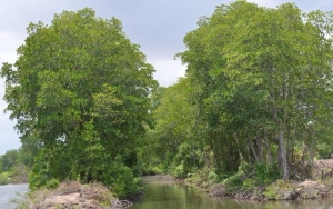 Vĩnh Long quy hoạch tài nguyên, môi trường theo hướng bền vững, thích ứng biến đổi khí hậu