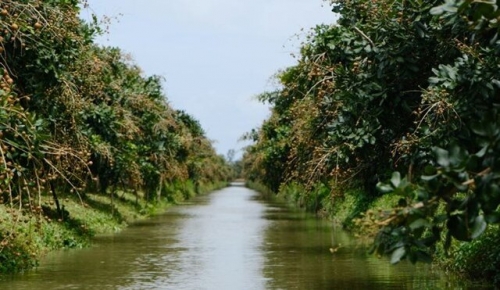 Nông sản Cần Thơ tận dụng cơ hội vàng sau sáp nhập