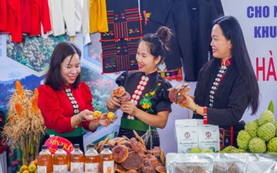 Tăng cường giao lưu, hợp tác quốc tế tại Hội chợ xúc tiến thương mại Sơn La 2025