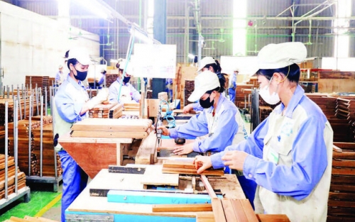 Mở lối cho kinh tế lâm nghiệp bứt phá