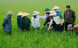 Doanh nghiệp của nhà nông ở Quảng Trị