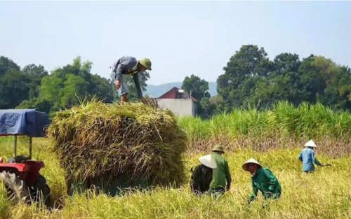 Nông nghiệp công nghệ cao: Từ đồng ruộng đến chuỗi giá trị số