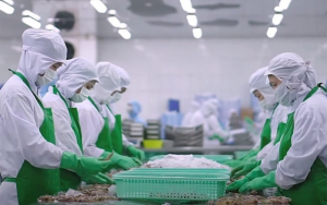 Xuất khẩu nông, lâm, thủy sản năm 2025: Vượt thách thức, khai thác dư địa tăng trưởng