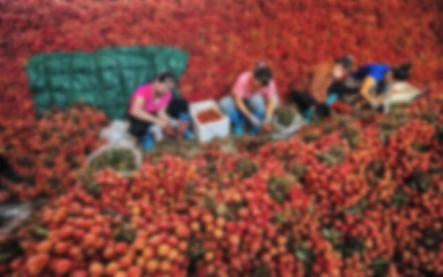 Kim ngạch xuất, nhập khẩu của tỉnh Bắc Ninh với Trung Quốc tăng mạnh