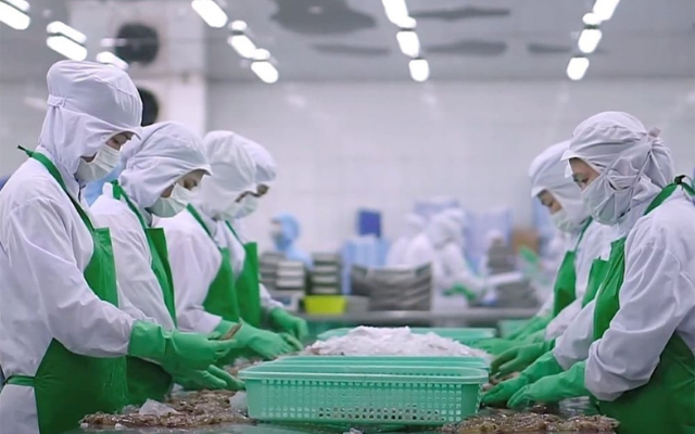 Xuất khẩu nông, lâm, thủy sản năm 2025: Vượt thách thức, khai thác dư địa tăng trưởng