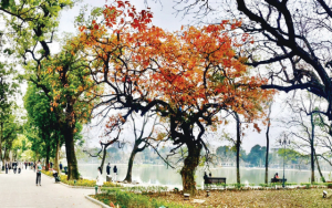 Mùa Thu Hà Nội 