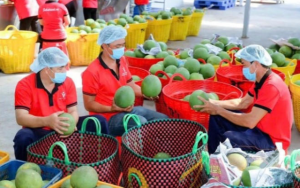 Thúc đẩy chuỗi giá trị xanh, tăng sức cạnh tranh cho nông sản