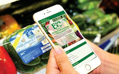 Truy xuất nguồn gốc: Khi minh bạch thị trường bắt đầu từ doanh nghiệp
