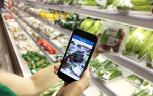 Doanh nghiệp xuất khẩu bước vào giai đoạn bắt buộc của minh bạch và bền vững