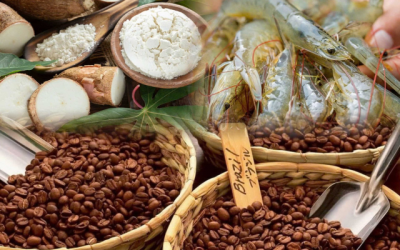 Xuất khẩu nông lâm thủy sản tăng tốc cuối năm