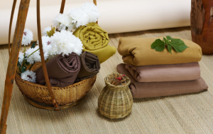 Xanh hóa từ gốc: Cây gai mở lối cho tương lai nguyên liệu bền vững Việt Nam