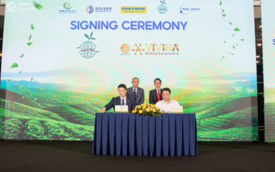 Kích hoạt chuỗi giá trị mới cho trà Việt