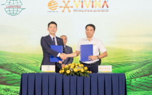 VIVINA hợp tác Chè Lâm Đồng: mở rộng cánh cửa xuất khẩu chè Việt ra thị trường quốc tế