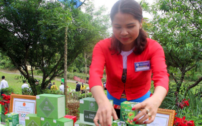 Cao Xạ Đen Tuyết Nhi OCOP 4 sao: Kết tinh dược liệu Việt trong xu hướng chăm sóc sức khỏe chủ động