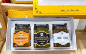 ONG MIỀN NÚI - TINH HOA SẢN VẬT THIÊN NHIÊN VÌ SỨC KHỎE NGƯỜI VIỆT