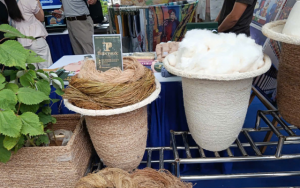 Từ Nghị quyết 57 đến chuỗi giá trị số của hợp tác xã