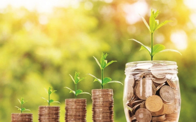 Tín dụng xanh: “Chìa khóa” để hàng Việt vươn ra thế giới