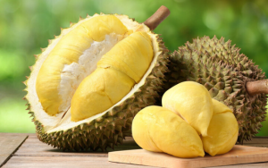 Minh bạch truy xuất nguồn gốc để sầu riêng bước ra thế giới