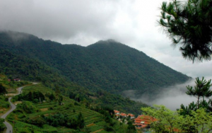 DU LỊCH TAM ĐẢO