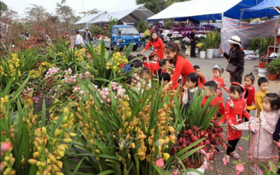 Cận Tết, làng quê đổi thay nhanh đến mức người già không còn nhận ra