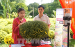 Bán nông sản online, Vĩnh Long mở thêm cửa thị trường