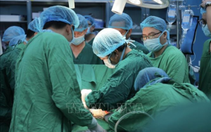 Ghép tạng Việt Nam trong kỷ nguyên y học chuyên sâu