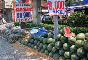 Nhiều nông sản rớt giá còn vài nghìn đồng một kg