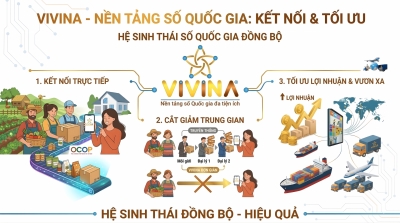 CON ĐƯỜNG NGẮN NHẤT ĐỂ VIVINA TRỞ THÀNH KỲ LÂN CÔNG NGHỆ VIỆT NAM