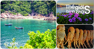 Kinh nghiệm du lịch-Nha Trang