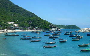 Tour Ngày Cù Lao Chàm từ Hội An và Đà Nẵng