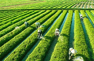 Địa Điểm Du Lịch Nổi Tiếng 