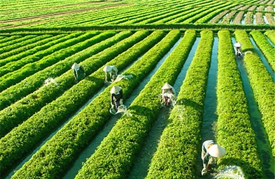 Địa Điểm Du Lịch Nổi Tiếng 
