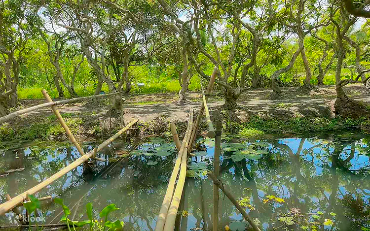 Tour Tham Quan Cồn Sơn ở Cần Thơ