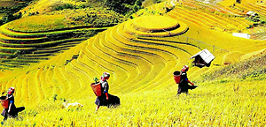 Địa Điểm Du Lịch Nổi Tiếng Yên Bái