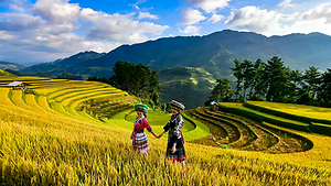 Kinh nghiệm du lịchYên Bái