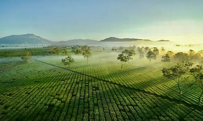 Địa Điểm Du Lịch Nổi Tiếng Gia Lai